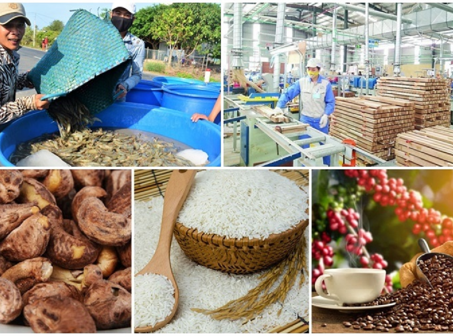 CHẾ BIỂN NÔNG SẢN